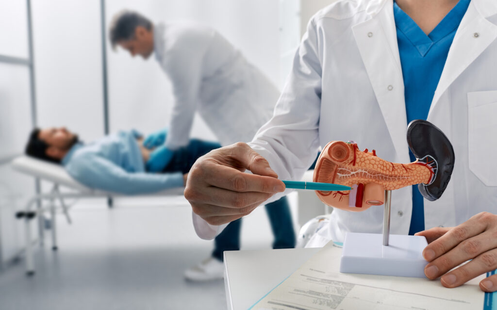 Pancreatitis examination explained using a model, with patient consultation occurring behind.